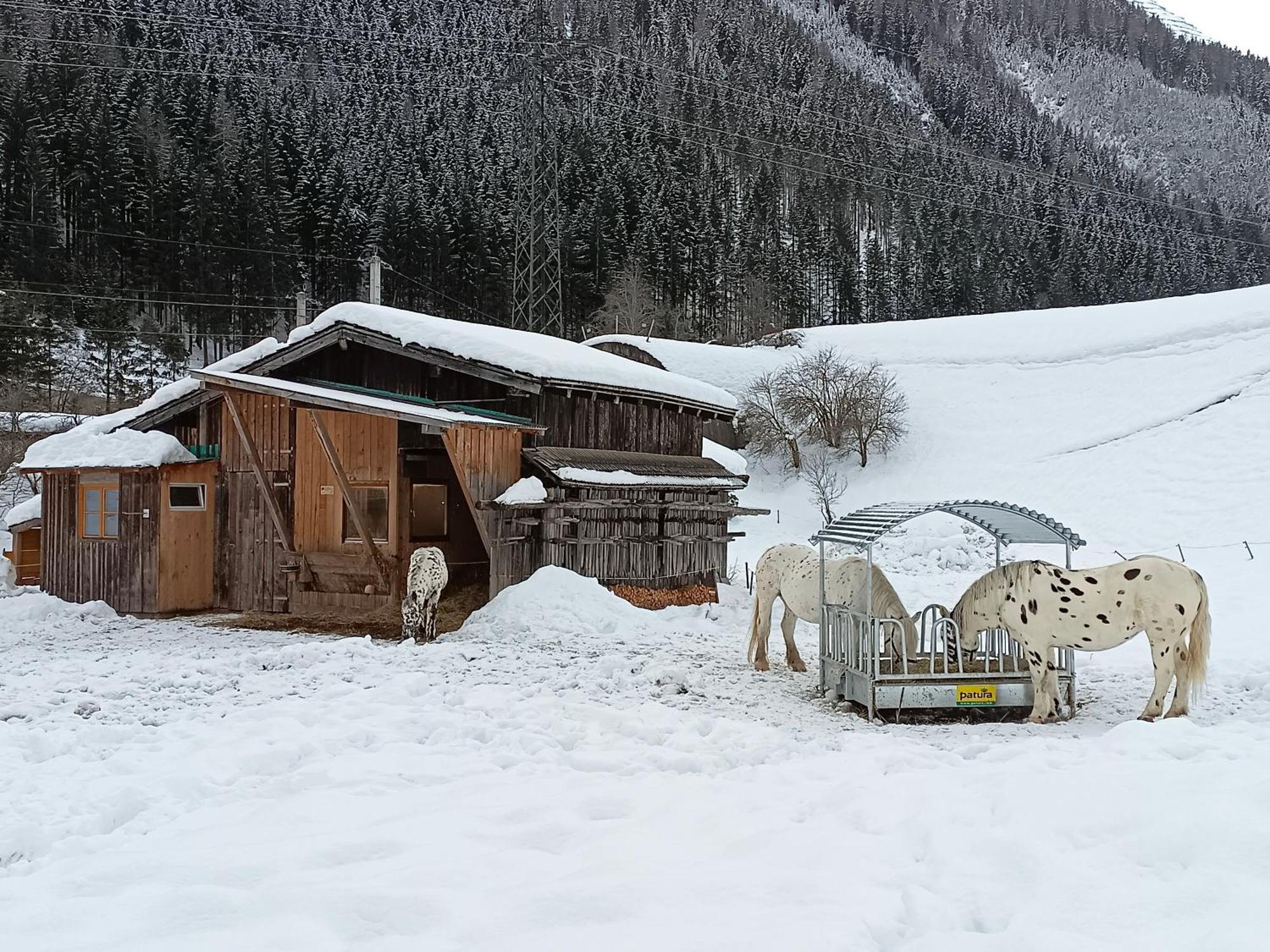 Villa Burgerhof Pettneu am Arlberg Exterior foto